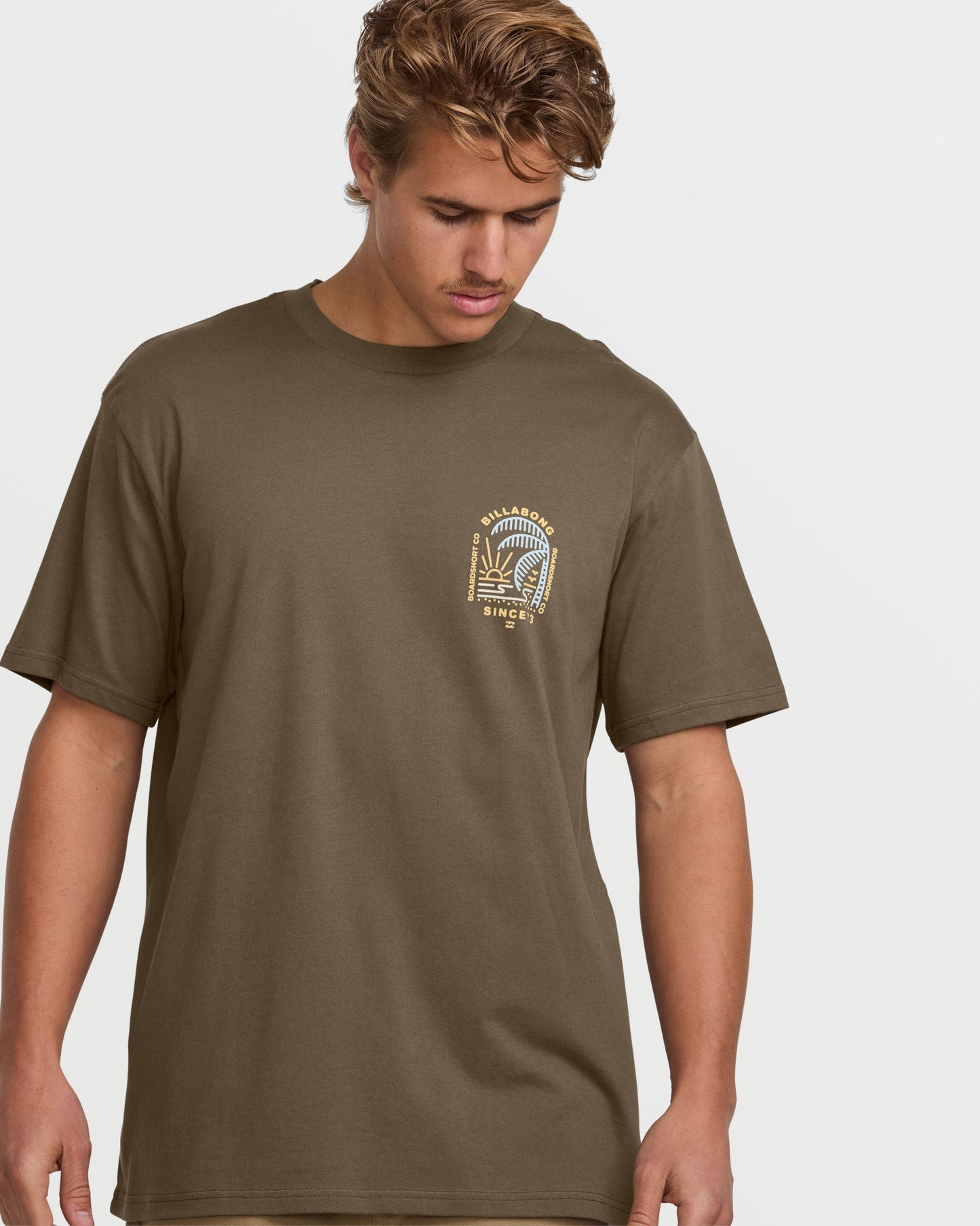 Last Light Premium Tee - Brown