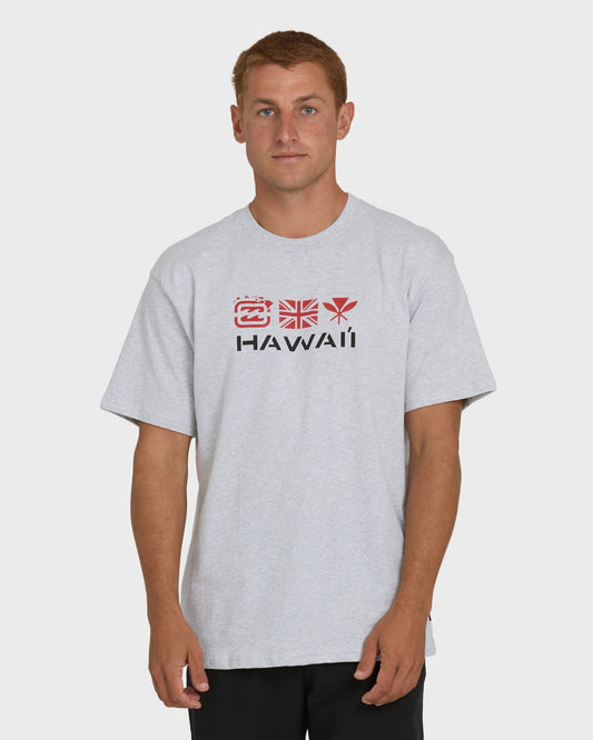 Kahili Hawaii Regular Short Sleeve Tee - Heather Gray