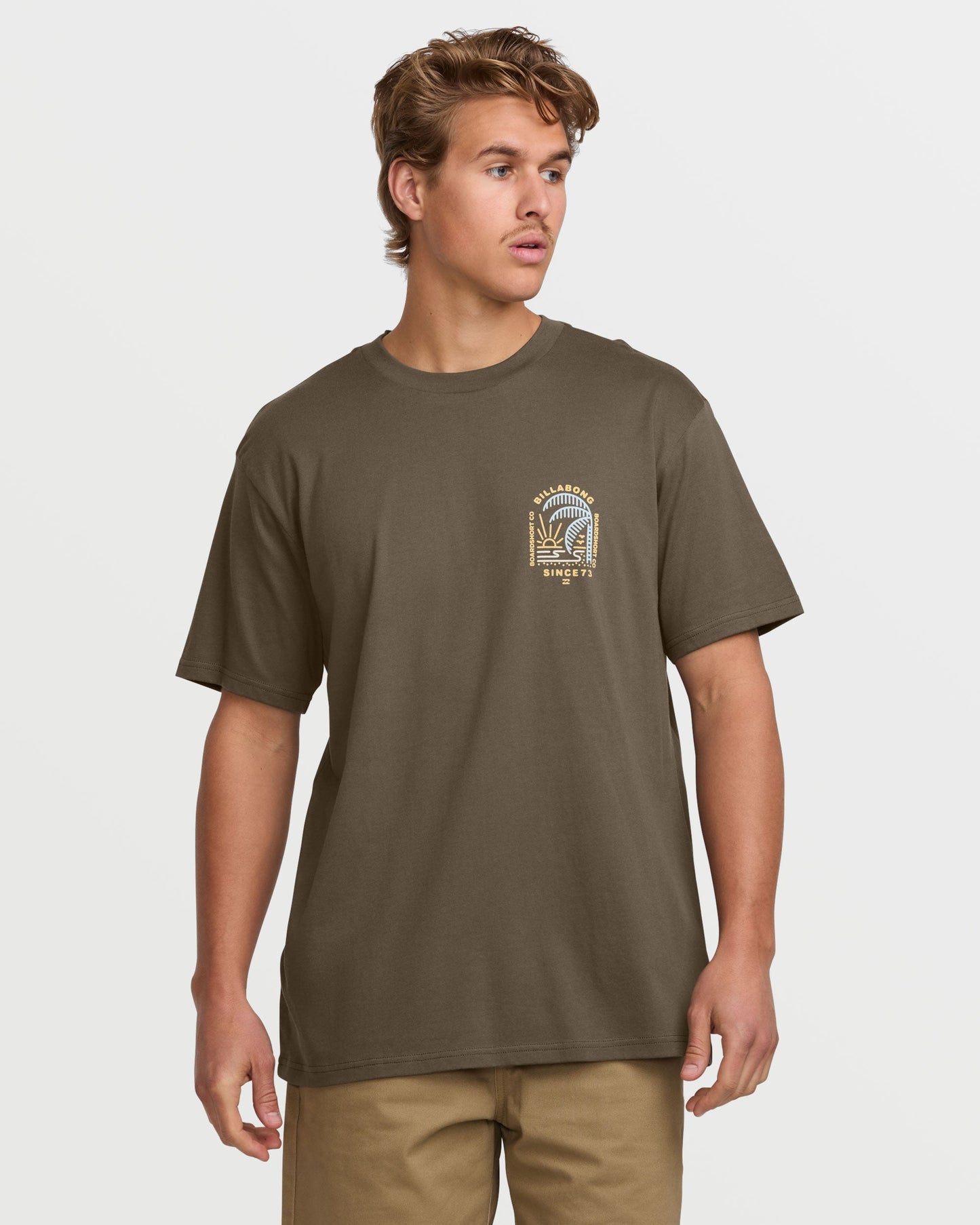 Last Light Premium Tee - Brown
