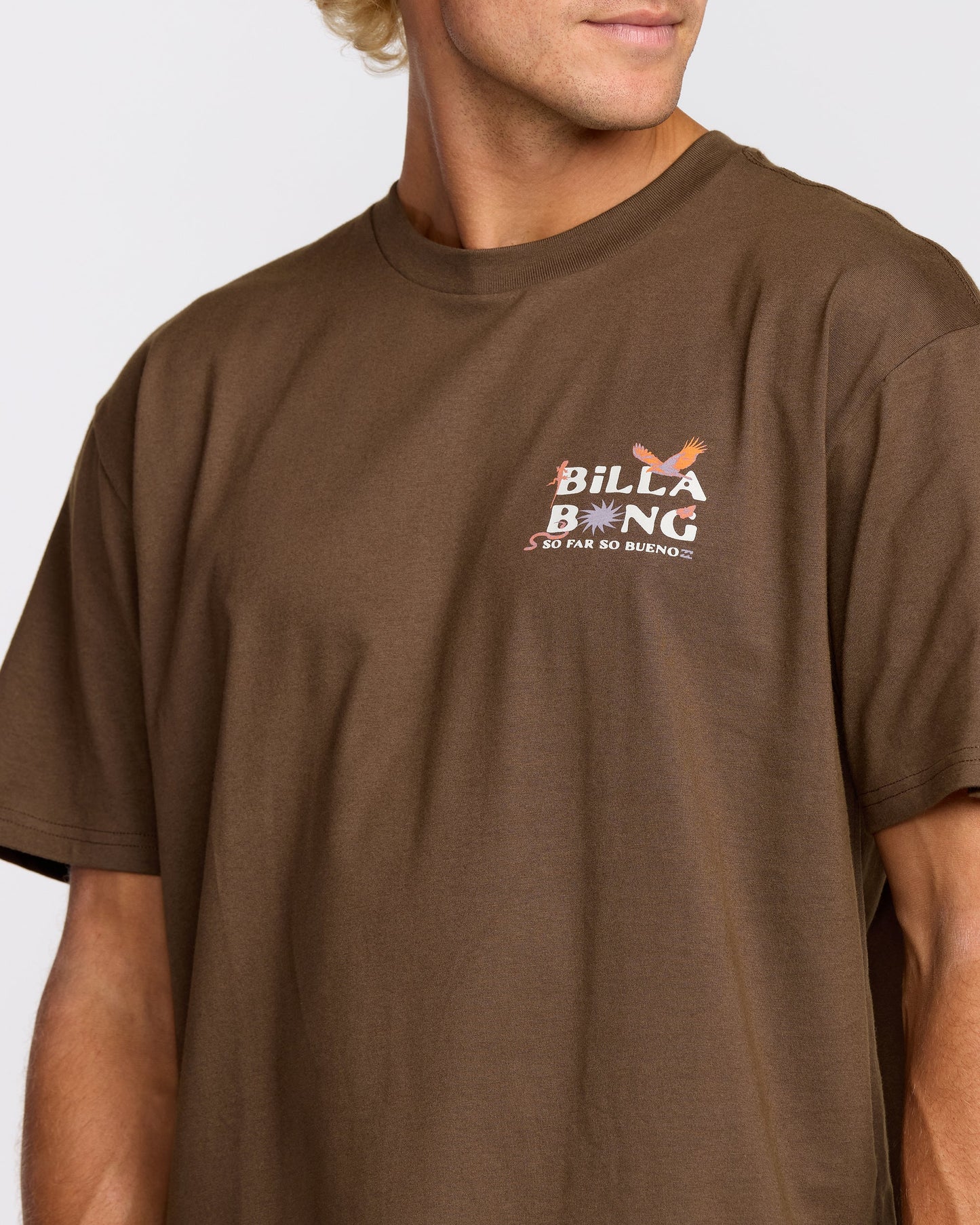 Land To Sea Regular Short Sleeve T-Shirt - Rustic Brown